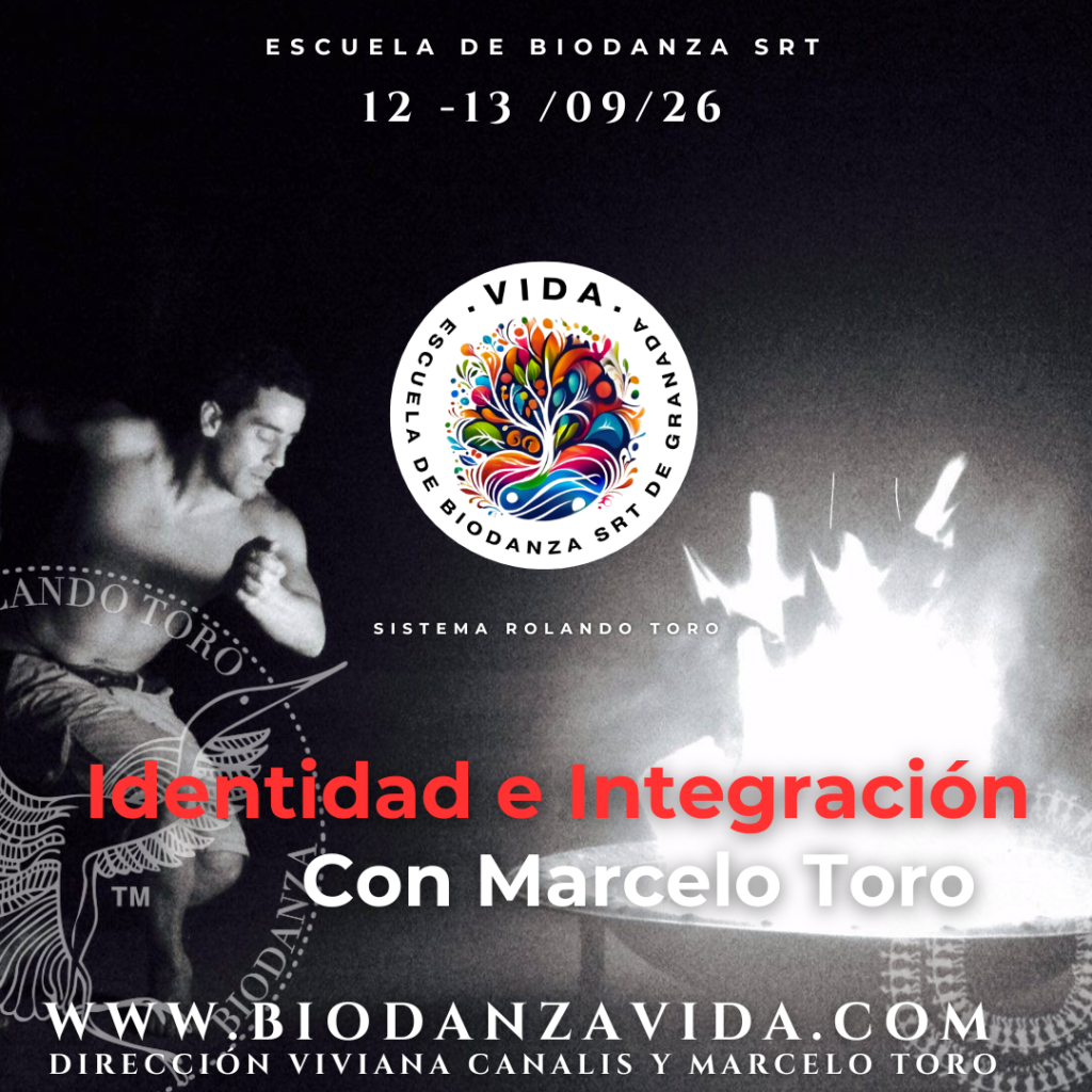Identidad WEB